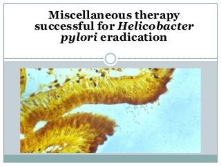 Miscellaneous therapy
successful for Helicobacter
pylori eradication
 