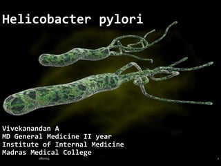 Helicobacter pylori

Vivekanandan A
MD General Medicine II year
Institute of Internal Medicine
Madras Medical College
1/8/2014

1

 
