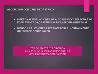 ASOCIACIÓN CON CÁNCER GÁSTRICO:
• INTESTINAL:POBLACIONES DE ALTO RIESGO Y PERSONAS DE
EDAD AVANZADA,GASTRITIS ACTIVA,ATROFIA INTESTINAL.
• DIFUSO:LAS LESIONES PRECANCEROSAS .NORMALMENTE
GRUPOS DE GENTE JOVEN.
70% DE GASTRITIS CRONICA
90 A 95 % DE ULCERAS DUODENALES
60% PACIENTES CON CANCER
 