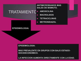 TRATAMIENTO
ANTIMICROBIANOS MAS
SALES DE BISMUTO.
 AMOXICILINA
 MACROLIDOS
 TETRACICLINAS
 METRONIDAZOL
EPIDEMIOLOGIA:
MAS PREVALENTE EN GRUPOS CON BAJO ESTADO-
SOCIOECONOMICO.
LA INFECCION AUMENTA DIRECTAMENTE CON LA EDAD.
EPIDEMIOLOGIA:
 