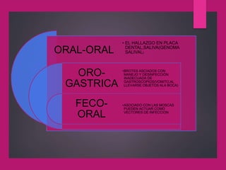 ORAL-ORAL
ORO-
GASTRICA
FECO-
ORAL
• EL HALLAZGO EN PLACA
DENTAL,SALIVA(GENOMA
SALIVAL)
•BROTES ASCIADOS CON
MANEJO Y DESINFECCIÒN
INADECUADA DE
GASTROSCOPIOS(VOMITO,AL
LLEVARSE OBJETOS ALA BOCA)
•ASOCIADO CON LAS MOSCAS
PUEDEN ACTUAR COMO
VECTORES DE INFECCION
 