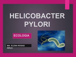 ECOLOGIA
HELICOBACTER
PYLORI
MA. ELENA ROSAS
AVILA
 