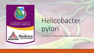 Helicobacter
pylori
ALEYDIS FERNANDA FLORES GARCÍA
 