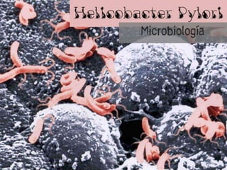 Helicobacter Pylori
Microbiología
 