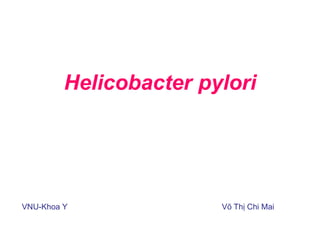 Helicobacter pylori
VNU-Khoa Y Võ Thị Chi Mai
 
