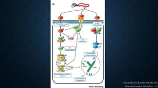 Biomedical journal 39(2016) 14 – 23
Trends Microbiol 25 (4), 316-328. 2017
 