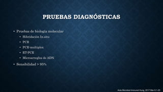 PRUEBAS DIAGNÓSTICAS
• Pruebas de biología molecular
• Hibridación In.situ
• PCR
• PCR-multiplex
• RT-PCR
• Microarreglos de ADN
• Sensibilidad > 95%
Acta Microbiol Immunol Hung. 2017 Mar 6:1-20
 