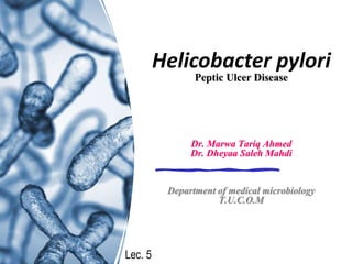 Helicobacter pylori
Peptic Ulcer Disease
Dr. Marwa Tariq Ahmed
Dr. Dheyaa Saleh Mahdi
Department of medical microbiology
T.U.C.O.M
Lec. 5
 