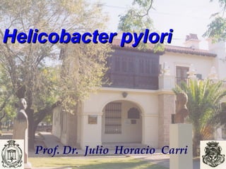 HHeelliiccoobbaacctteerr ppyylloorrii 
Prof. Dr. Julio Horacio Carri 
 