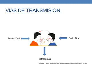 VIAS DE TRANSMISION
Oral - Oral
Fecal - Oral
Iatrogénica
Sheila E. Crowe. Infección por Helicobacter pylori.Revista NEJM. 2020
 