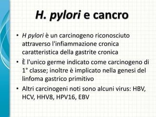 H. pylori e cancro
• H pylori è un carcinogeno riconosciuto
attraverso l'infiammazione cronica
caratteristica della gastrite cronica
• È l'unico germe indicato come carcinogeno di
1° classe; inoltre è implicato nella genesi del
linfoma gastrico primitivo
• Altri carcinogeni noti sono alcuni virus: HBV,
HCV, HHV8, HPV16, EBV
 