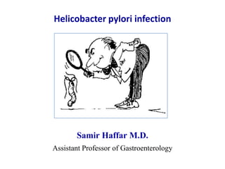 Helicobacter pylori infection
Samir Haffar M.D.
Assistant Professor of Gastroenterology
 