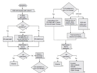 Helicobacter pylori pediatria