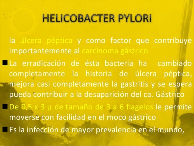 Helicobacter pylori y las enfermedades que produce Helicobacter pylori y las enfermedades que produce