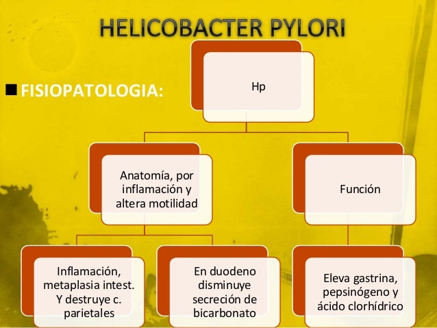 Helicobacter pylori y las enfermedades que produce Helicobacter pylori y las enfermedades que produce