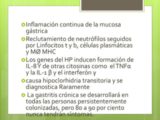 Inflamación continua de la mucosa
gástrica
Reclutamiento de neutrófilos seguidos
por Linfocitos t y b, células plasmáticas
y MØ MHC
Los genes del HP inducen formación de
IL-8Y de otras citosinas como elTNFα
y la IL-1 β y el interferón γ
causa hipoclorhidria transitoria y se
diagnostica Raramente
 La gastritis crónica se desarrollará en
todas las personas persistentemente
colonizadas, pero 80 a 90 por ciento
nunca tendrán síntomas.
 