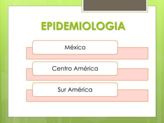 EPIDEMIOLOGIA
México
Centro América
Sur América
 