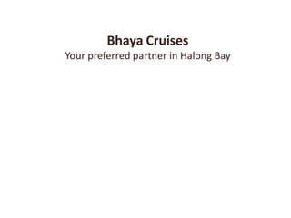 Bhaya Cruises
Your preferred partner in Halong Bay
 