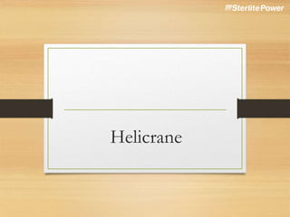 Helicrane
 