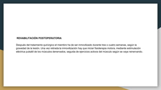 REHABILITACIÓN POSTOPERATORIA
Después del tratamiento quirúrgico el miembro ha de ser inmovilizado durante tres o cuatro semanas, según la
gravedad de la lesión. Una vez retirada la inmovilización hay que iniciar fisioterapia motora, mediante estimulación
eléctrica pulsátil de los músculos denervados, seguida de ejercicios activos del músculo según se vaya reinervando.
 