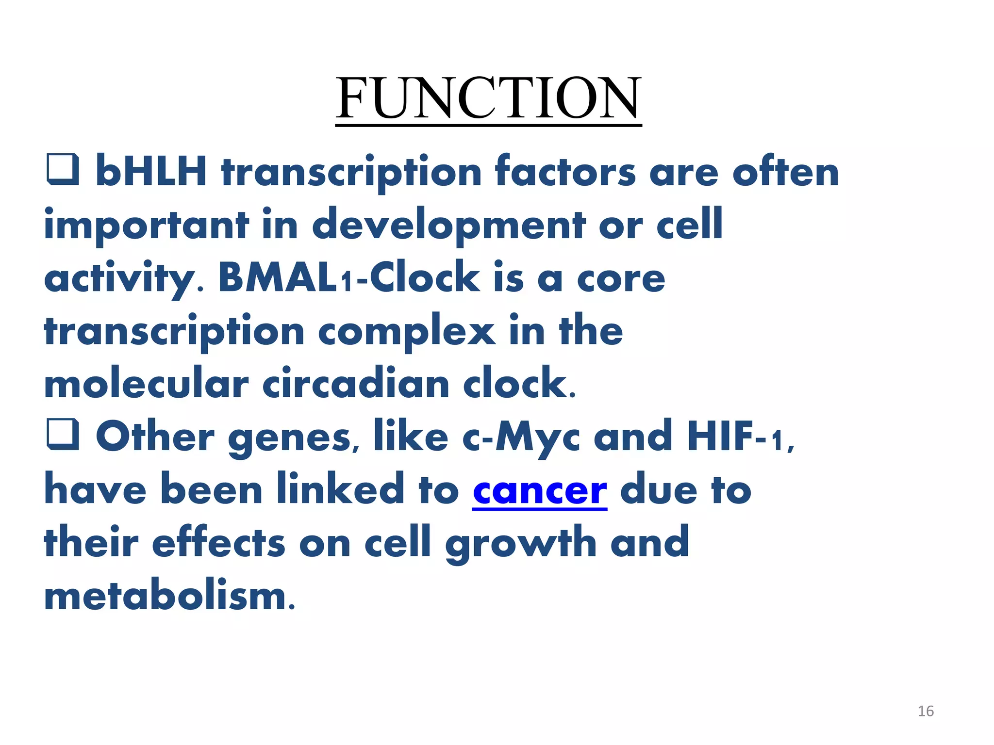 FUNCTION
16
 bHLH transcription factors are often
important in development or cell
activity. BMAL1-Clock is a core
transcription complex in the
molecular circadian clock.
 Other genes, like c-Myc and HIF-1,
have been linked to cancer due to
their effects on cell growth and
metabolism.
 