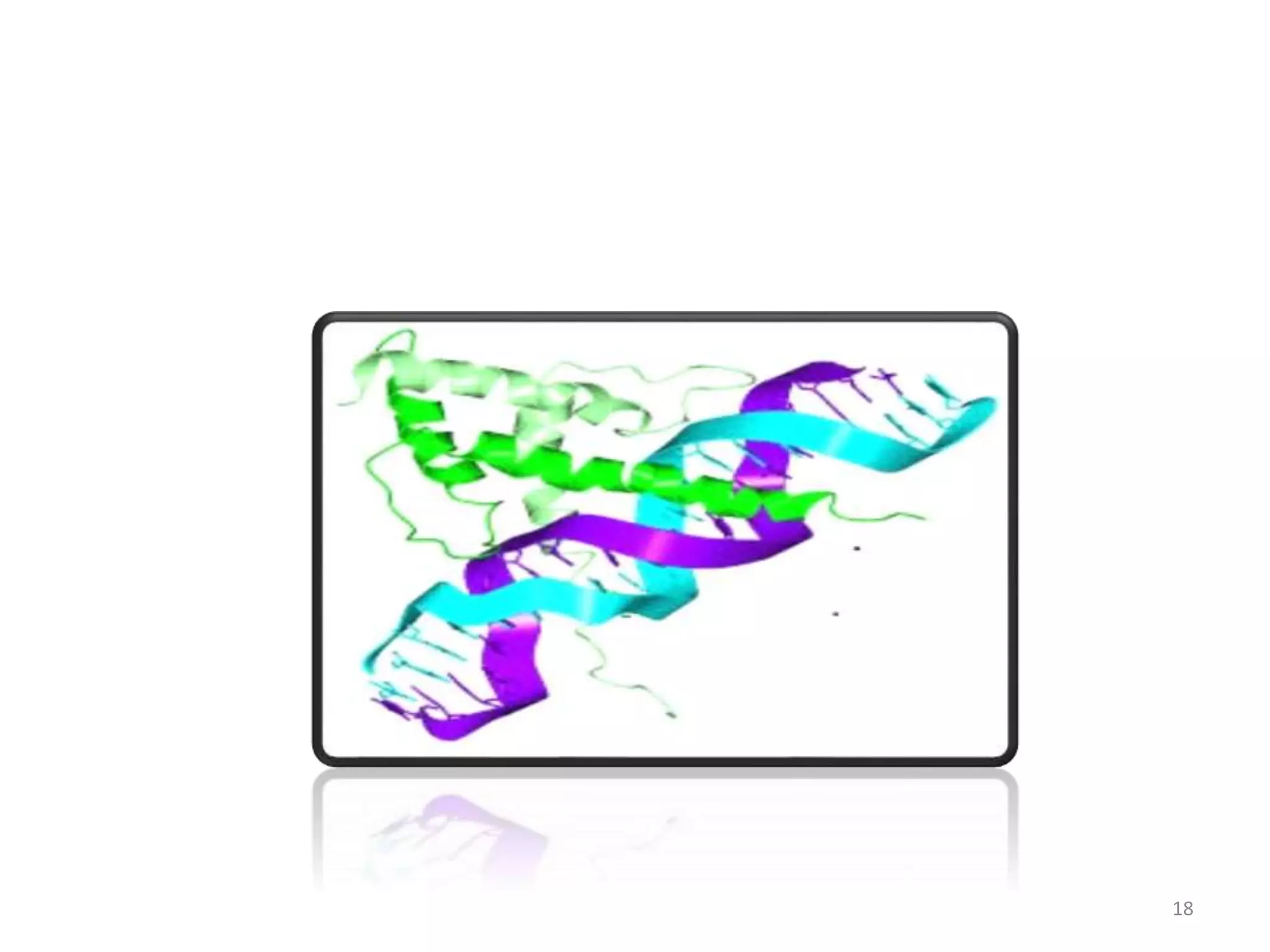 HELIXLOOPHELIX, HELIXTURNHELIX PPT