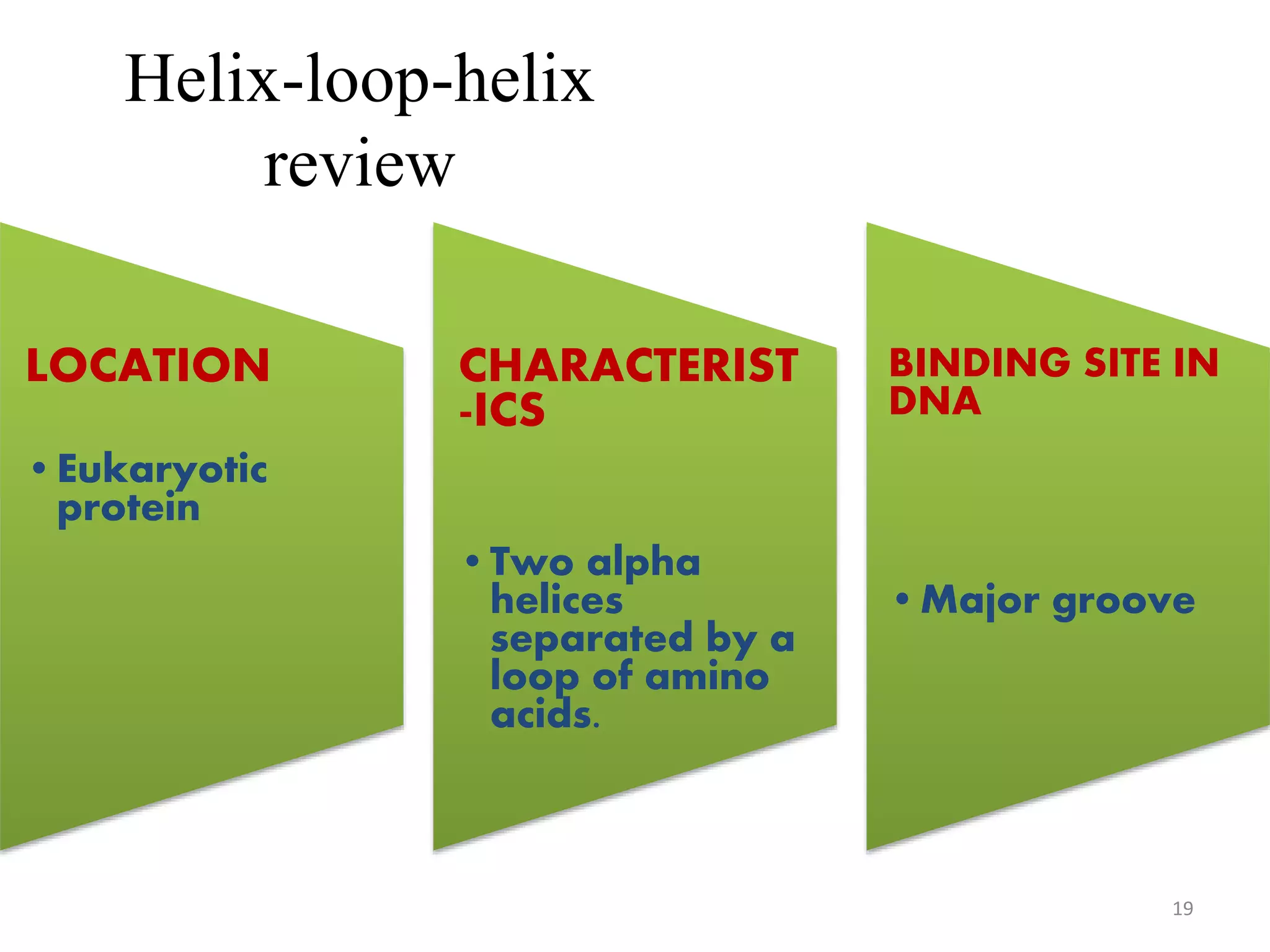 Helix-loop-helix
review
LOCATION
•Eukaryotic
protein
CHARACTERIST
-ICS
•Two alpha
helices
separated by a
loop of amino
acids.
BINDING SITE IN
DNA
•Major groove
19
 