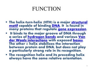 FUNCTION
 The helix-turn-helix (HTH) is a major structural
motif capable of binding DNA. It is found in
many proteins that regulate gene expression.
 It binds to the major groove of DNA through
a series of hydrogen bonds and various Van
der Waals interactions with exposed bases.
The other α helix stabilizes the interaction
between protein and DNA, but does not play
a particularly strong role in its recognition.
 The recognition helix and its preceding helix
always have the same relative orientation.
9
 