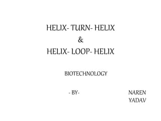 HELIX- TURN- HELIX
&
HELIX- LOOP- HELIX
BIOTECHNOLOGY
- BY- NAREN
YADAV
 