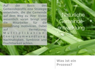 Auf     der      Basis    des
Gemeindeproﬁls eine Strategie
entwickeln, die die Gemeinde
auf dem Weg zu ihrer Vision       Natürliche
wesentlich voran bringt und
die   Mitarbeiter    für  die    Gemeinde-
Umsetzung motivieren. Dabei
auf               Vernetzung,   entwicklung
M u l t i p l i k a t i o n ,
Energieumwandlung,
Nachhaltigkeit, Symbiose und
Fruchtbarkeit achten.




                                Was ist ein
                                Prozess?
 