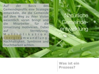Auf     der      Basis    des
Gemeindeproﬁls eine Strategie
entwickeln, die die Gemeinde
auf dem Weg zu ihrer Vision       Natürliche
wesentlich voran bringt und
die   Mitarbeiter    für  die    Gemeinde-
Umsetzung motivieren. Dabei
auf               Vernetzung,   entwicklung
M u l t i p l i k a t i o n ,
Energieumwandlung,
Nachhaltigkeit, Symbiose und
Fruchtbarkeit achten.




                                Was ist ein
                                Prozess?
 