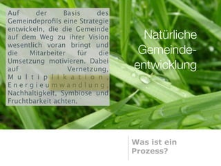 Auf     der      Basis    des
Gemeindeproﬁls eine Strategie
entwickeln, die die Gemeinde
auf dem Weg zu ihrer Vision       Natürliche
wesentlich voran bringt und
die   Mitarbeiter    für  die    Gemeinde-
Umsetzung motivieren. Dabei
auf               Vernetzung,   entwicklung
M u l t i p l i k a t i o n ,
Energieumwandlung,
Nachhaltigkeit, Symbiose und
Fruchtbarkeit achten.




                                Was ist ein
                                Prozess?
 