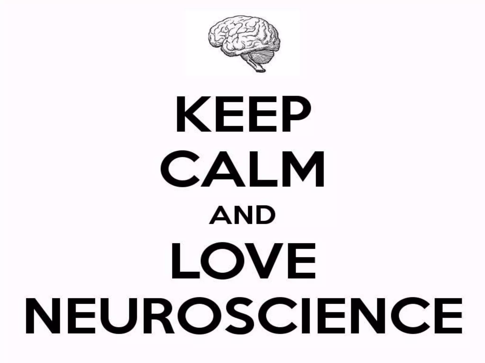 Metta-tation for Health, Happiness & Success