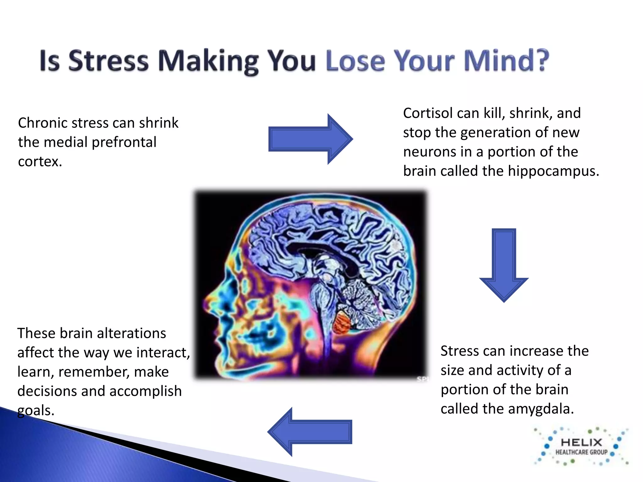 Cortisol can kill, shrink, and 
stop the generation of new 
neurons in a portion of the 
brain called the hippocampus. 
Chronic stress can shrink 
the medial prefrontal 
cortex. 
Stress can increase the 
size and activity of a 
portion of the brain 
called the amygdala. 
These brain alterations 
affect the way we interact, 
learn, remember, make 
decisions and accomplish 
goals. 
 