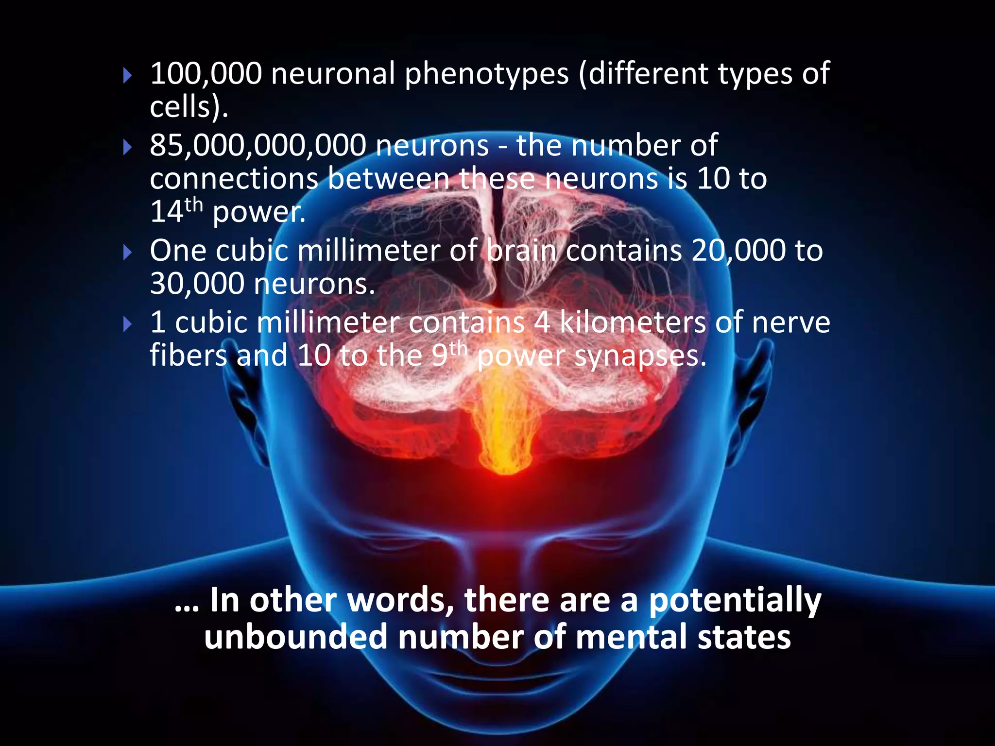  100,000 neuronal phenotypes (different types of 
cells). 
 85,000,000,000 neurons - the number of 
connections between these neurons is 10 to 
14th power. 
 One cubic millimeter of brain contains 20,000 to 
30,000 neurons. 
 1 cubic millimeter contains 4 kilometers of nerve 
fibers and 10 to the 9th power synapses. 
… In other words, there are a potentially 
unbounded number of mental states 
 
