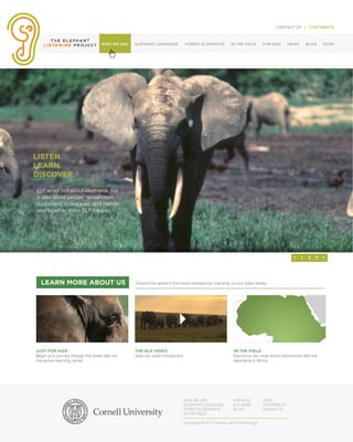 CONTACT US | CONTRIBUTE



                                    WHO WE ARE   ELEPHANT LANGUAGE             FOREST ELEPHANTS           IN THE FIELD       FOR KIDS     NEWS       BLOG    SHOP




LISTEN.
LEARN.
DISCOVER.

ELP is not just about elephants, but
is also about people: researchers,
supporters, colleagues, and friends,
who together make ELP happen.




                                                                                                                                            <    1   2   3   >




  LEARN MORE ABOUT US                            Explore the world of the forest elephant by checking out our video library




JUST FOR KIDS                                    THE ELP VIDEO                                              IN THE FIELD
Begin your journey through the forest with our   View our video introduction                                Exprience our most recent adventures with the
interactive learning center.                                                                                elephants in Africa.




                                                                               WHO WE ARE                   FOR KIDS         SHOP
                                                                               ELEPHANT LANGUAGE            ELP NEWS         CONTRIBUTE
                                                                               FOREST ELEOHANTS             BLOG             CONTAT US
                                                                               IN THE FIELD

                                                                               Copyright © 2011 Cornell Lab of Ornithology
 