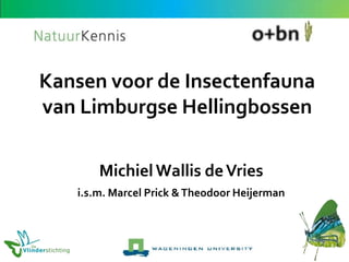 Kansen voor de Insectenfauna
van Limburgse Hellingbossen
Michiel Wallis de Vries
i.s.m. Marcel Prick & Theodoor Heijerman

 