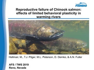 AFS / TWS 2019
Reno, Nevada
Hellmair, M., T.J. Pilger, M.L. Peterson, D. Demko, & A.N. Fuller
Reproductive failure of Chinook salmon:
effects of limited behavioral plasticity in
warming rivers
 