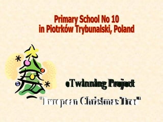 Primary School No 10  in Piotrków Trybunalski, Poland &quot;European Christmas Tree&quot; eTwinning Project 