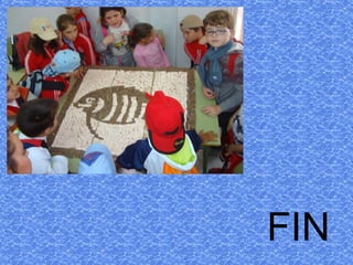 FIN 