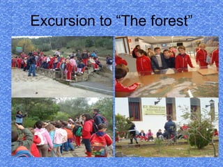 Excursion to “The forest” 