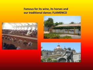 Famous for its wine, its horses and
our traditional dance; FLAMENCO
 