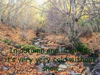 In autumn and in winter
it’s very very cold without
snow

 