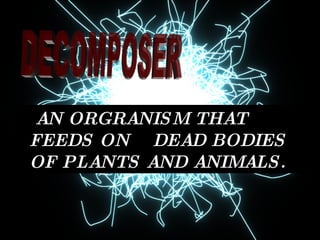 AN ORGRANISM THAT FEEDS ON  DEAD BODIES OF PLANTS AND ANIMALS.   DECOMPOSER 