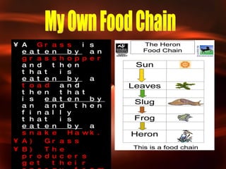 A   Grass   is  eaten by  an   grasshopper   and then that is   eaten by  a   toad   and then that is  eaten by  an   and then finally that is  eaten by  a   snake   Hawk. A) Grass B) The producers get their energy from the sun C) All Animals are consumers for example toad and a snake. D) We are predators and prey is an animal for example an slug and a frog. My Own Food Chain 