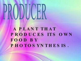 A PLANT THAT PRODUCES ITS OWN FOOD BY PHOTOSYNTHESIS. PRODUCER  