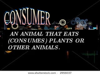 AN ANIMAL THAT EATS (CONSUMES) PLANTS OR OTHER ANIMALS.   CONSUMER  