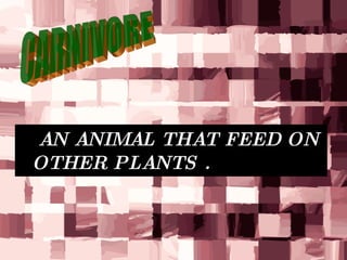 AN ANIMAL THAT FEED ON OTHER PLANTS . CARNIVORE 