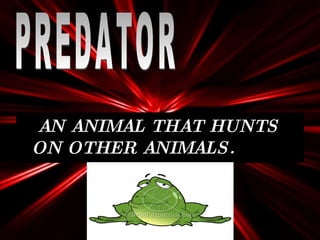 AN ANIMAL THAT HUNTS ON OTHER ANIMALS. PREDATOR  