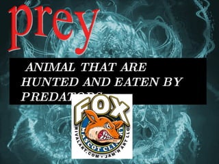 ANIMAL THAT ARE HUNTED AND EATEN BY PREDATORS.  prey 